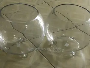 Bigger Glass Fish Bowl