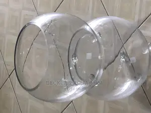 Bigger Glass Fish Bowl