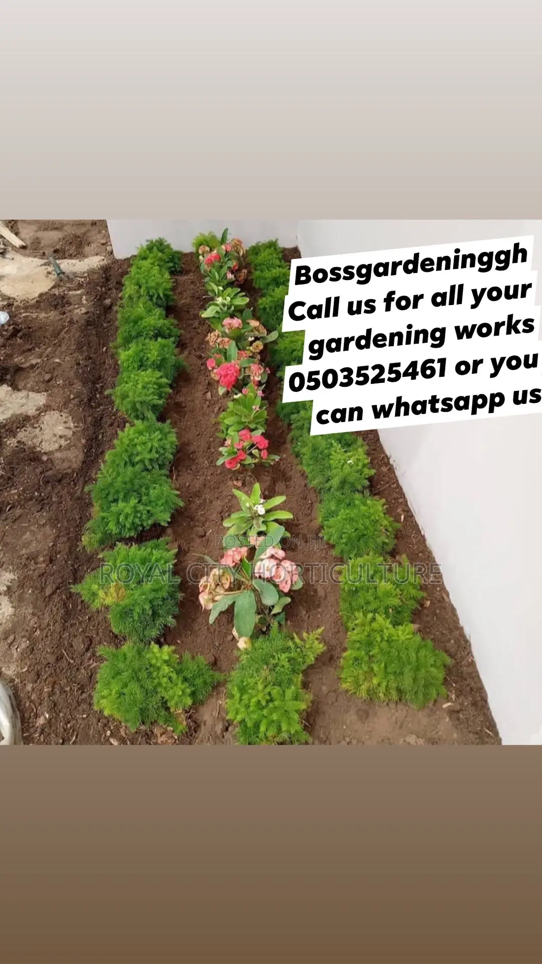 Bossgarden Is Here to Serve You All Kinds of Gardening Works