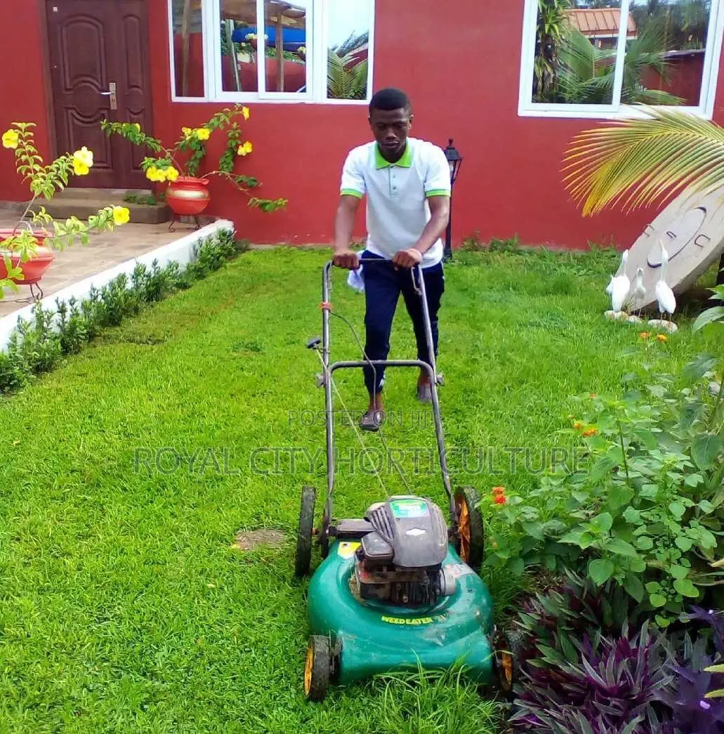 Bossgarden Is Here to Serve You All Kinds of Gardening Works
