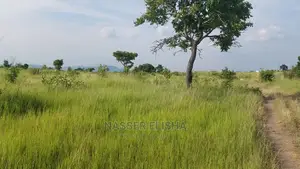 Farm Lands for Sale at KOMENDA