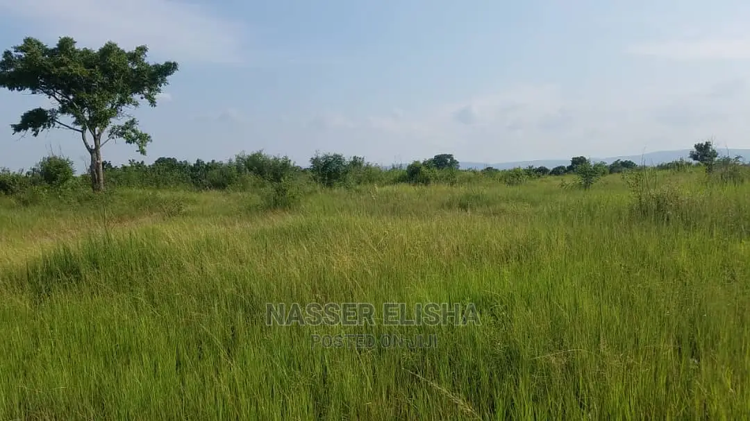 Farm Lands for Sale at KOMENDA