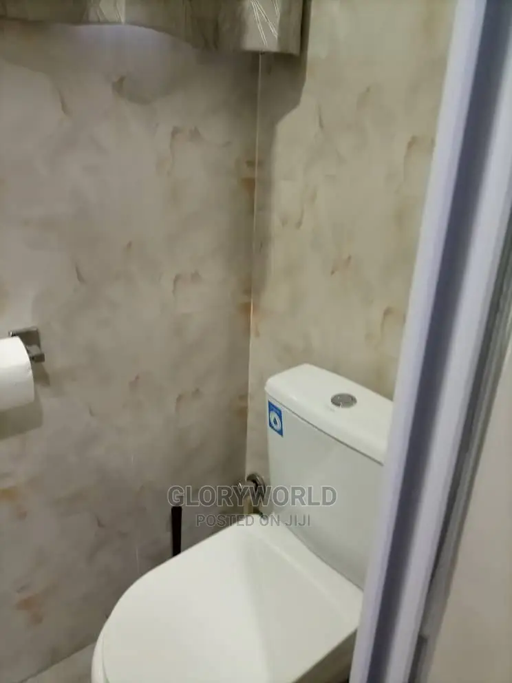 Furnished 2 Bedroom Apartment at Spintex - Community 18