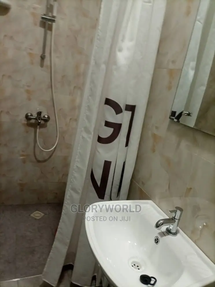 Furnished 2 Bedroom Apartment at Spintex - Community 18