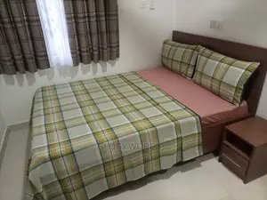 Furnished 2 Bedroom Apartment at Spintex - Community 18