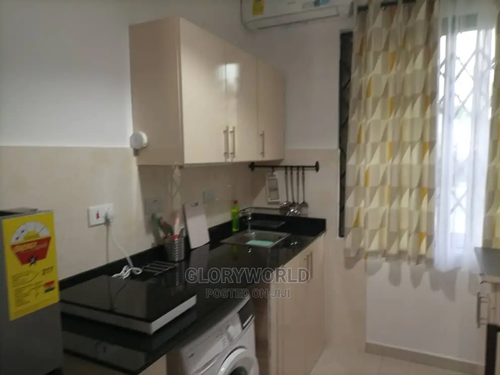 Furnished 2 Bedroom Apartment at Spintex - Community 18