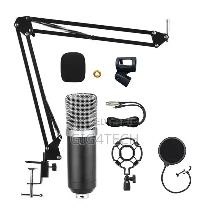 Bm 800 Studio Recording Condenser Microphone With V8s Souncard