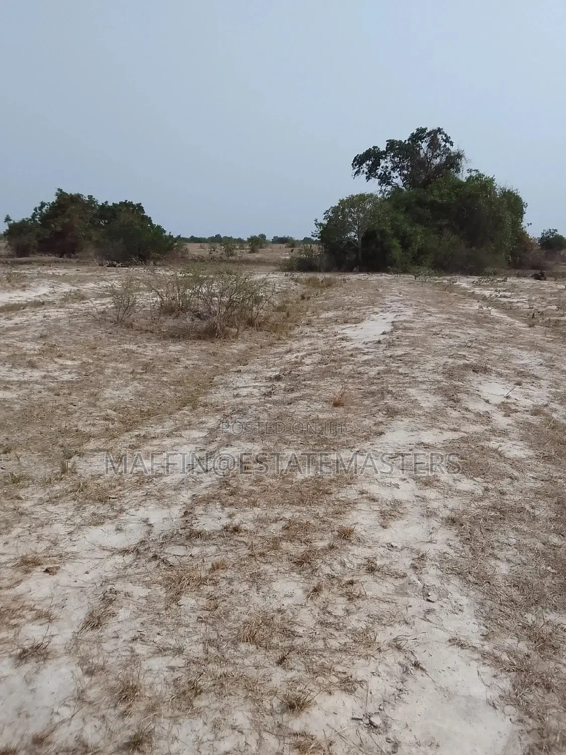 Great Opportunity to Own a Land at Tsopoli