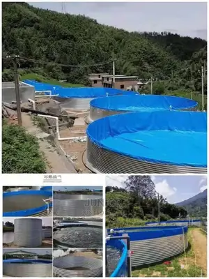 Pool/ Aquaculture Fishpond, in or on Land