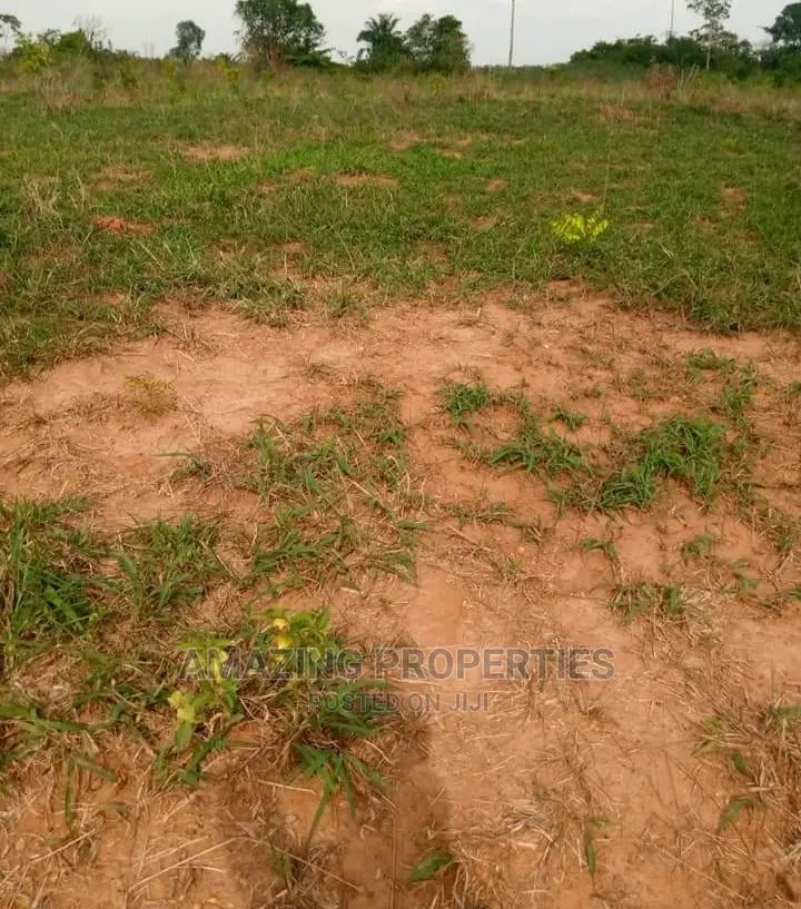 1 and Half Plot for Sale at East Airport