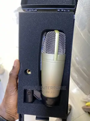 C-1 Condensor Microphone