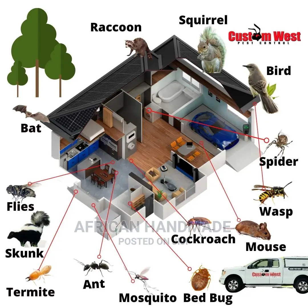 Fumigation Schools Homes and Offices