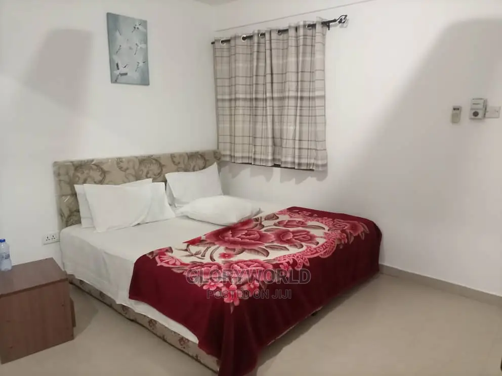 Furnished 1bdrm Apartment in Spintex for rent