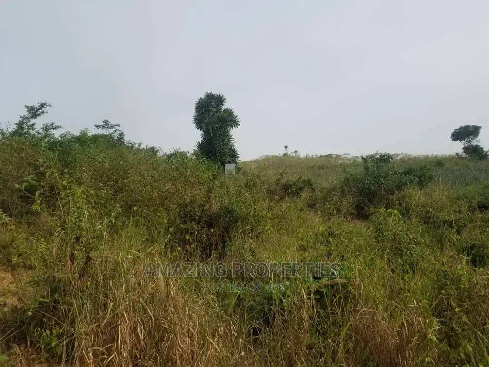 1000 Acres of Land at Kpone Bawaleshi