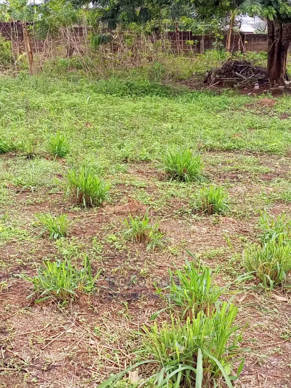 1 Plot of Land for Sale at Kwabenya