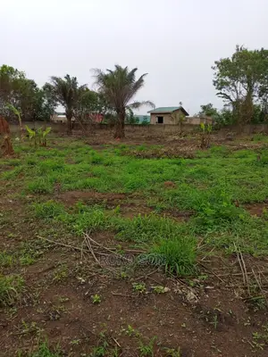1 Plot of Land for Sale at Kwabenya