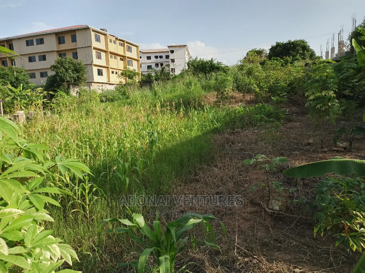Plot of Land for Sale at Tech Ayeduase