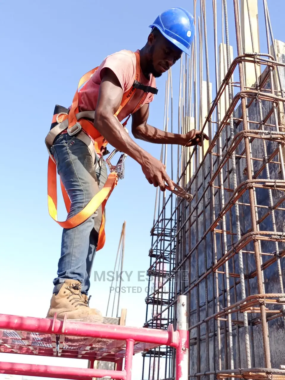 Professional Builders
