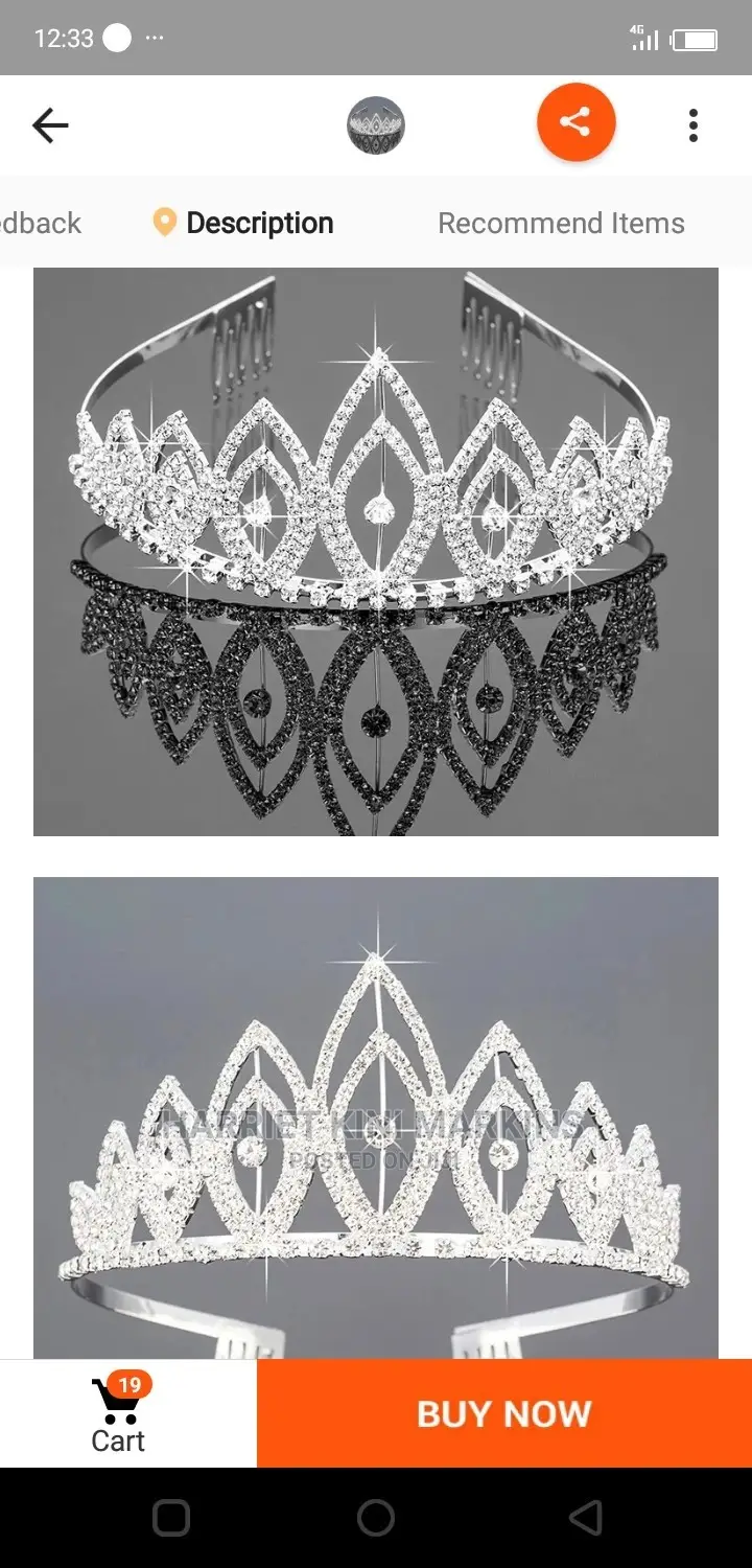 Gowns and Accessories Rent PROMOTIONE