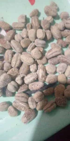 West African Nutmeg