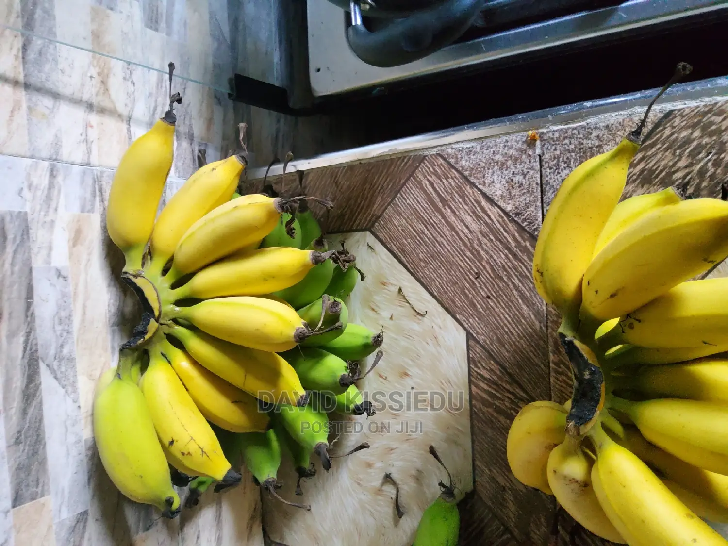 Troical Kissgreenworld's Banana Suckers for Your Backyard"