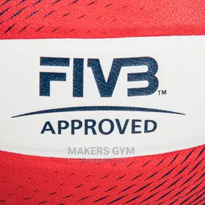 Volleyballs (Pro)