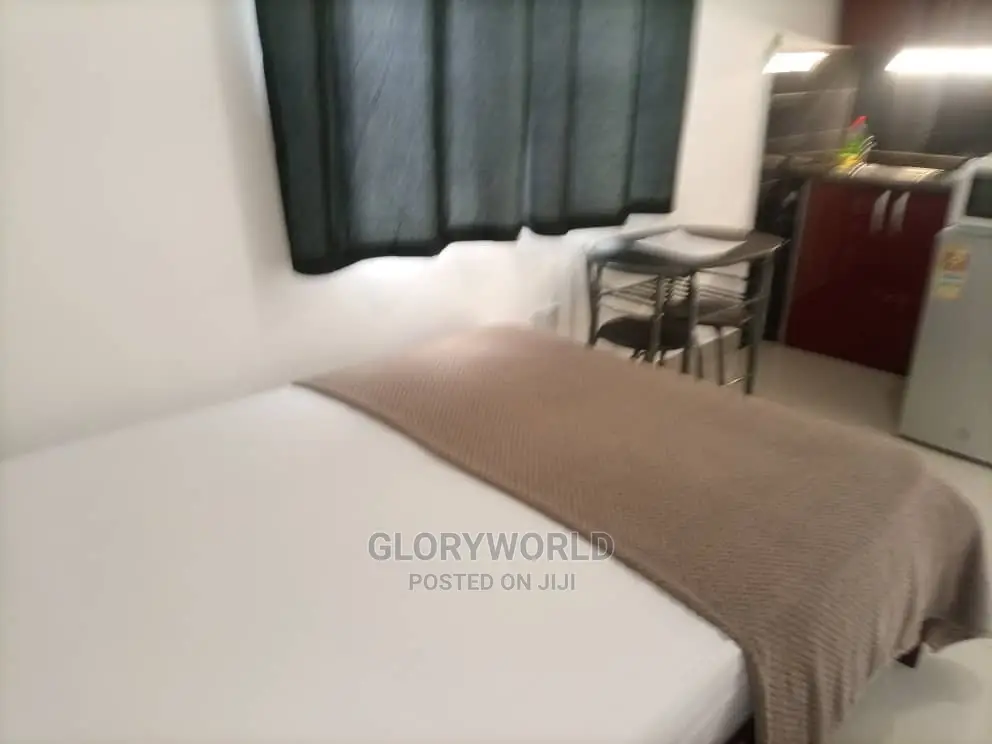 Beautifully Furnished Studio Apartment at Spintex