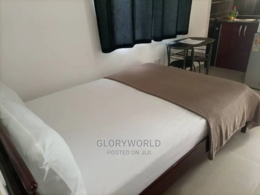 Beautifully Furnished Studio Apartment at Spintex