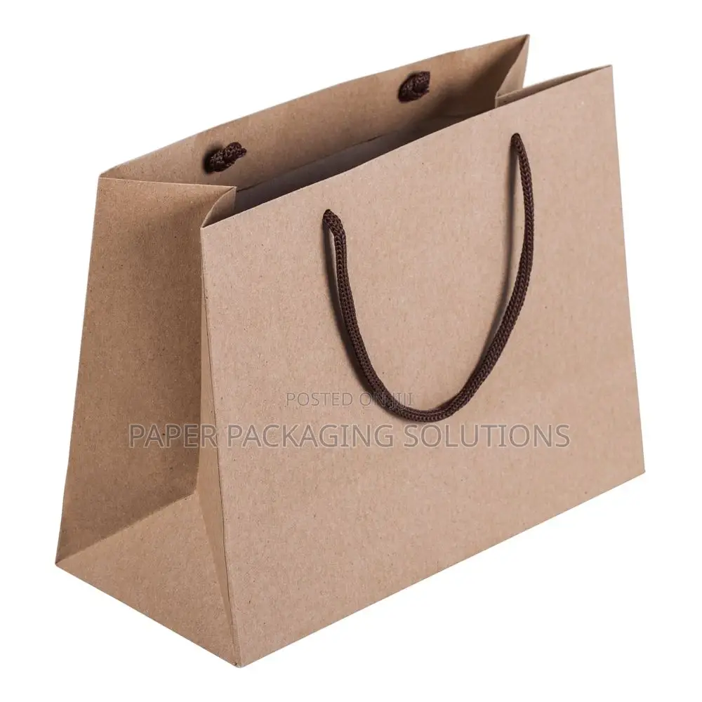 Plain Paper Bags