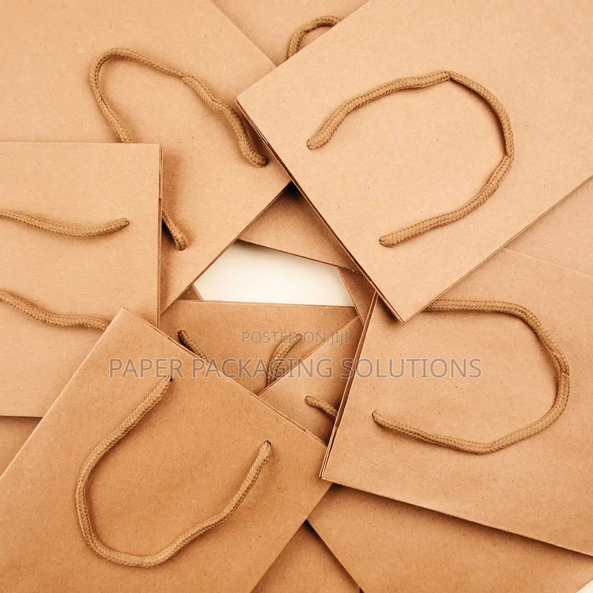Plain Paper Bags