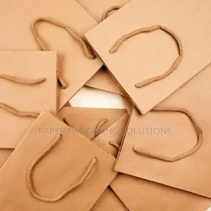 Plain Paper Bags