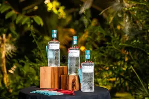 The Botanist Dry Gin