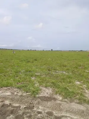 Affordable Residential Lands for Sale at Tsopoli