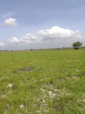 Genuine Affordable Residential Lands for Sale