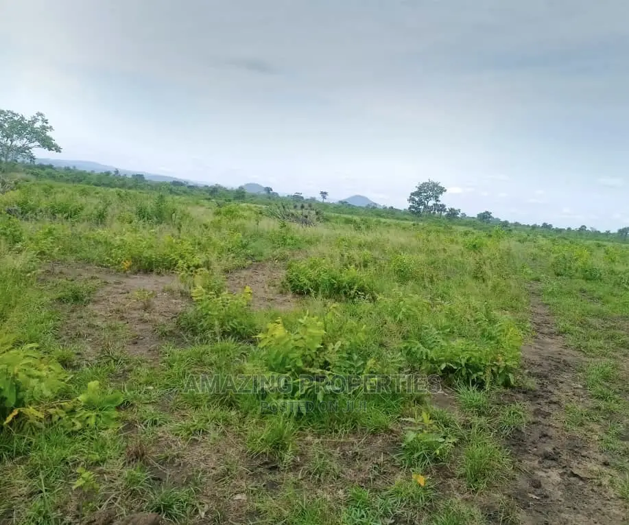 1 Acre of Land at Tema C9