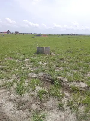 Developing Areas for Sale