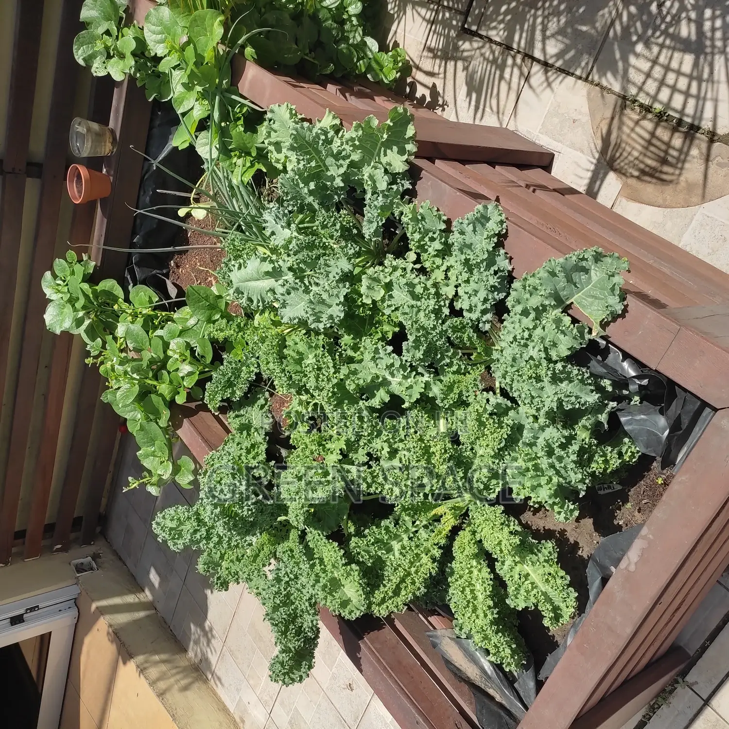 Home Garden Setup