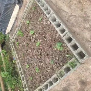 Home Garden Setup