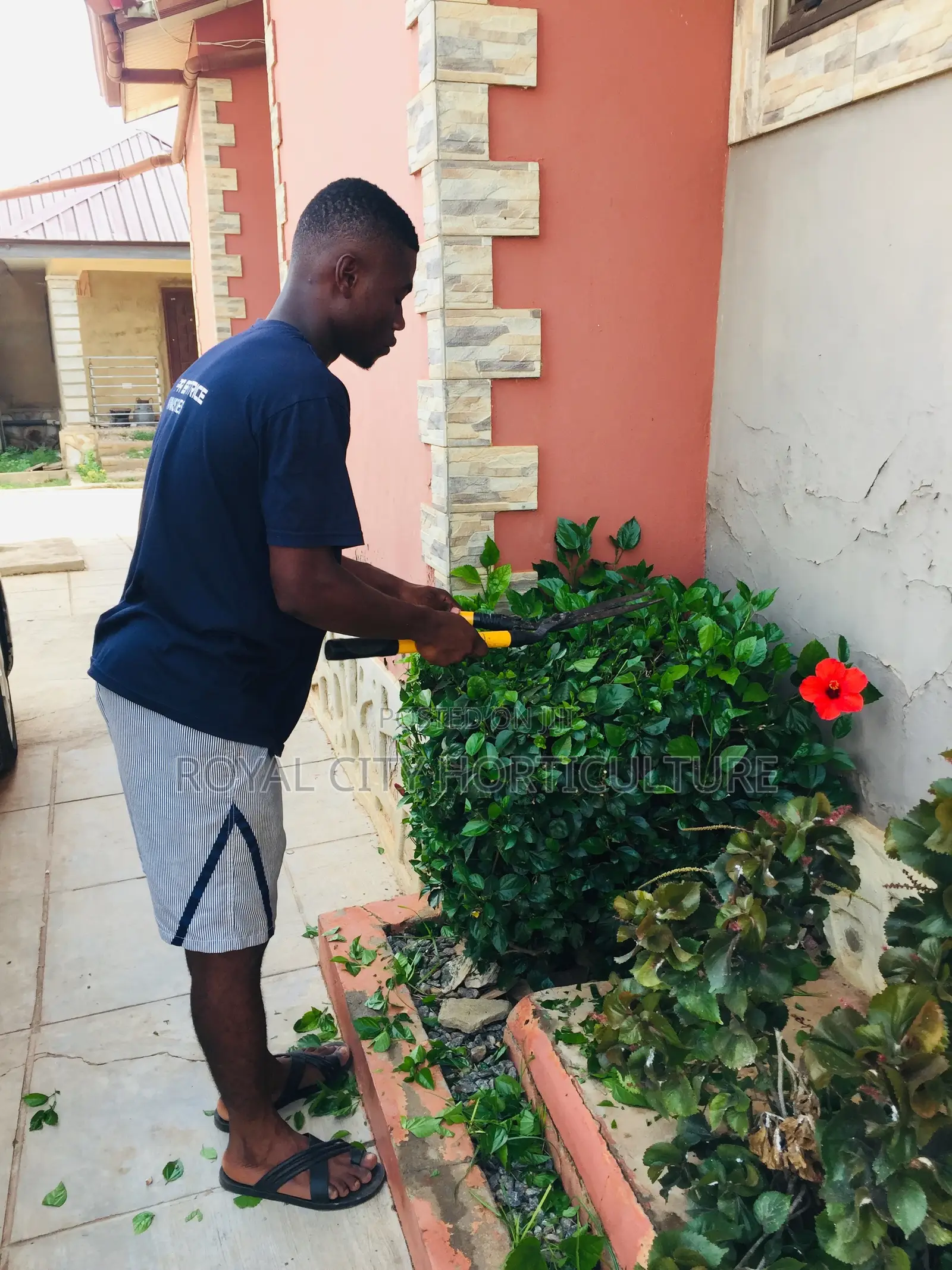 Our Gardening Works Are Number One in Ghana.