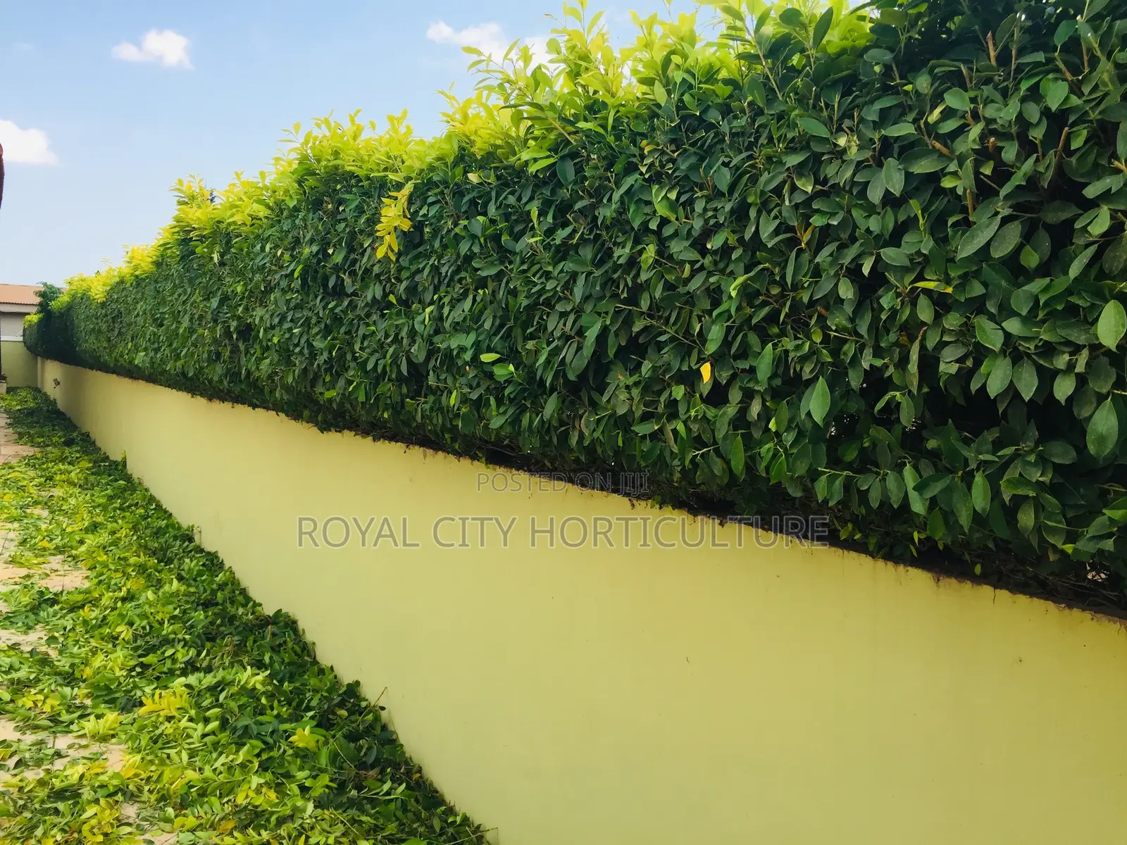 Our Gardening Works Are Number One in Ghana.