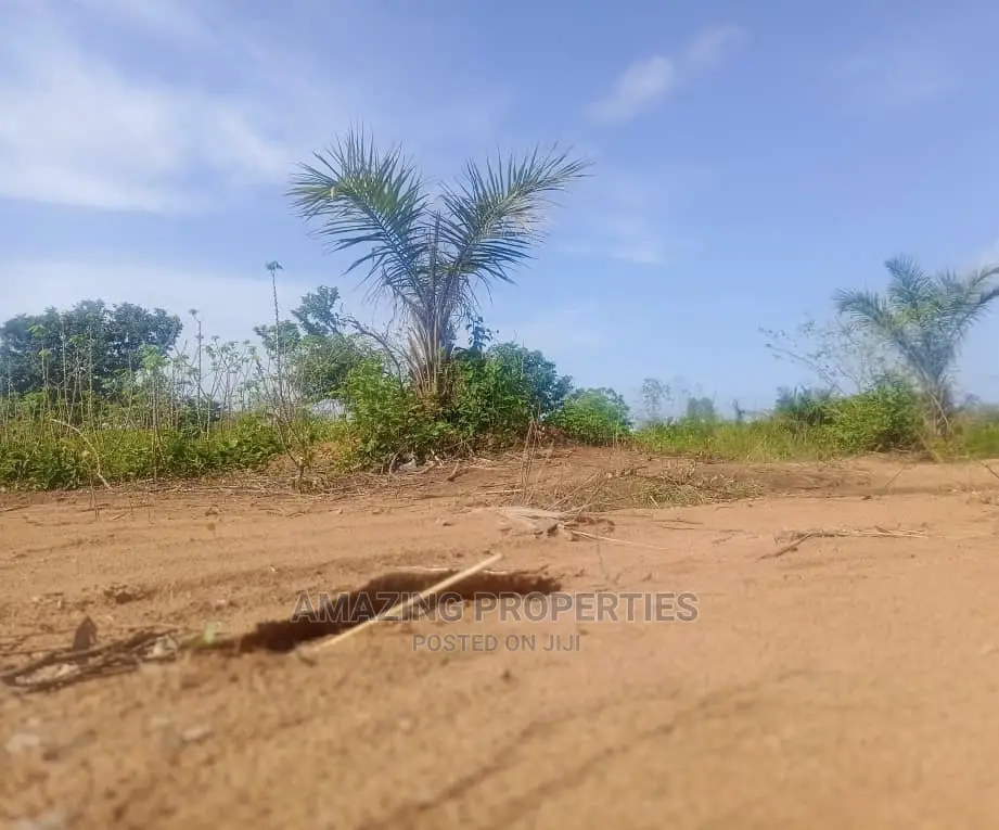 3 and Half Plot of Land for Sale at Mallam