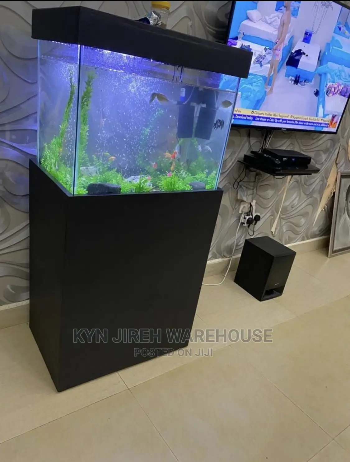Aquarium With Live Fishes