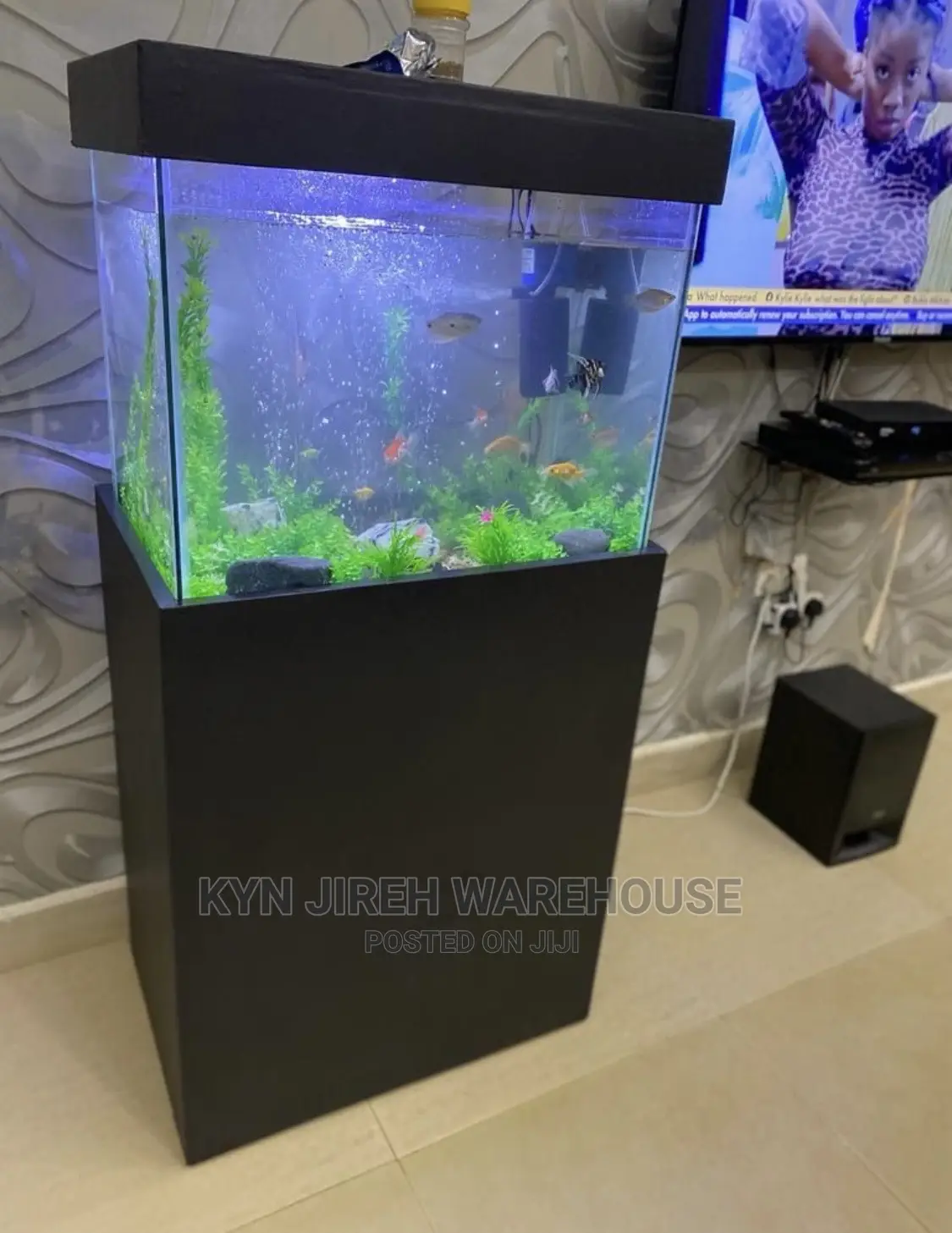 Aquarium With Live Fishes