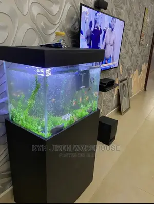 Aquarium With Live Fishes