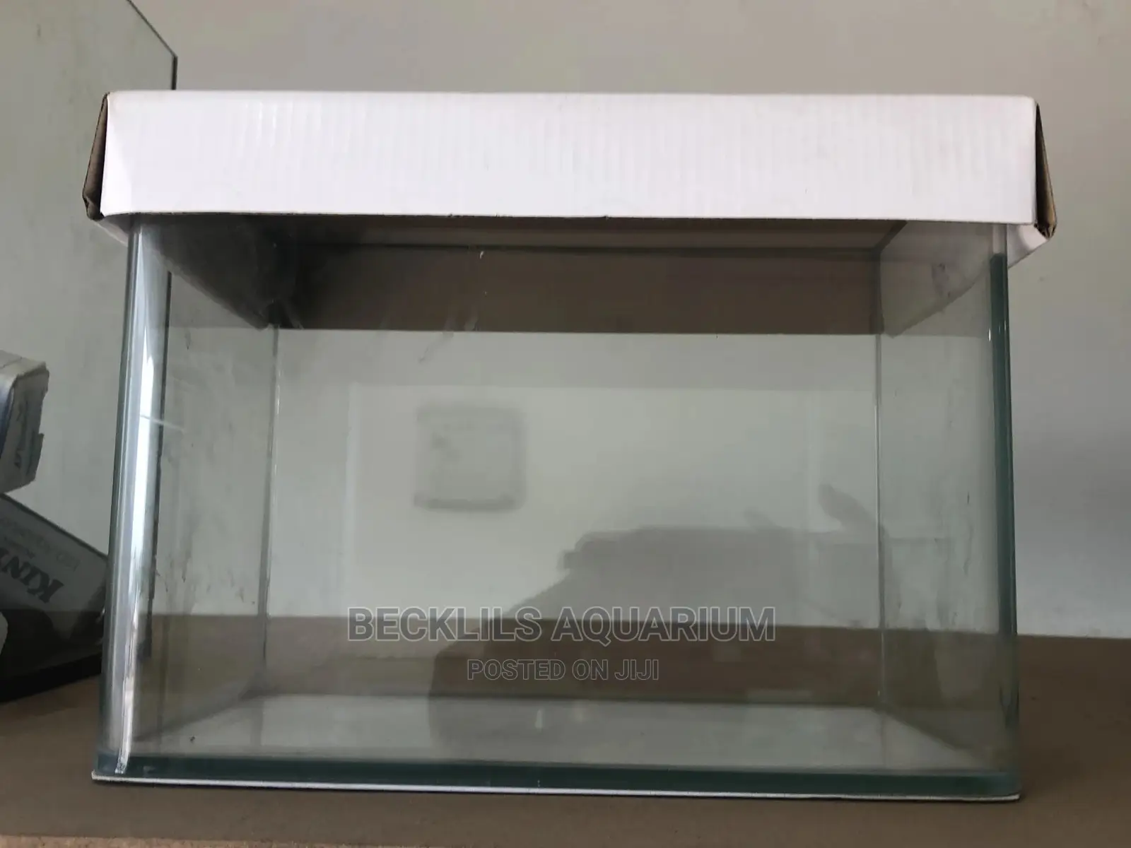 Glass Aquarium
