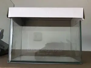 Glass Aquarium