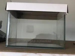 Glass Aquarium