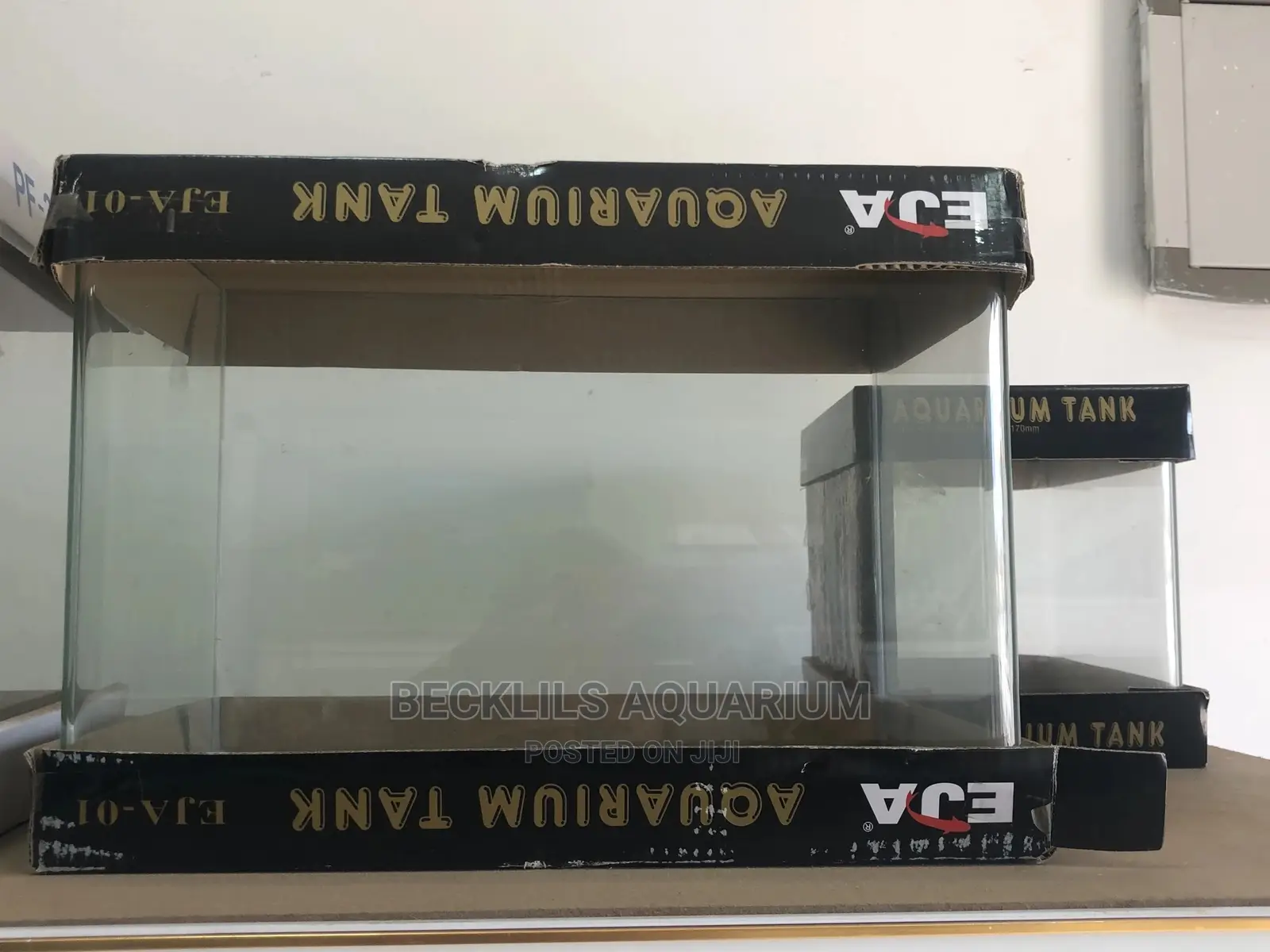 Glass Aquarium