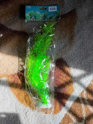 Photo - Aquarium Plant