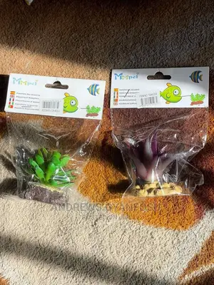 Photo - Aquarium Plants